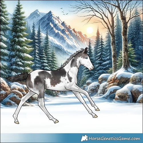 Horse Color:Brown Splash Tobiano 