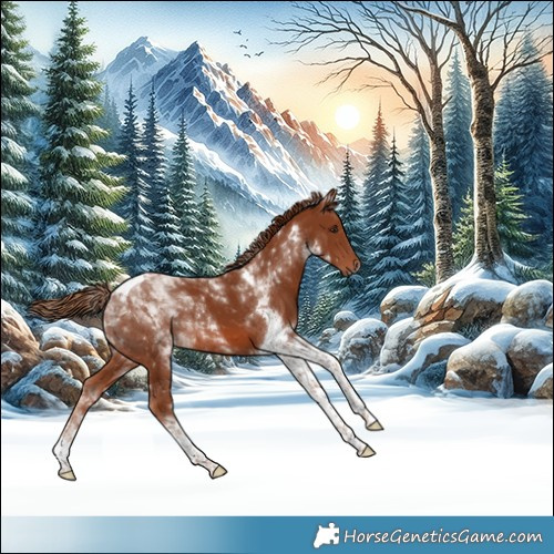 Horse Color:Chestnut Tobiano 