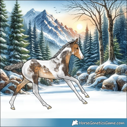 Horse Color:Silver Buckskin Tobiano 