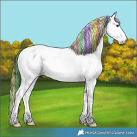Horse Color:Painted Plaid Black Ice Splash Tobiano Near Fewspot Rabicano