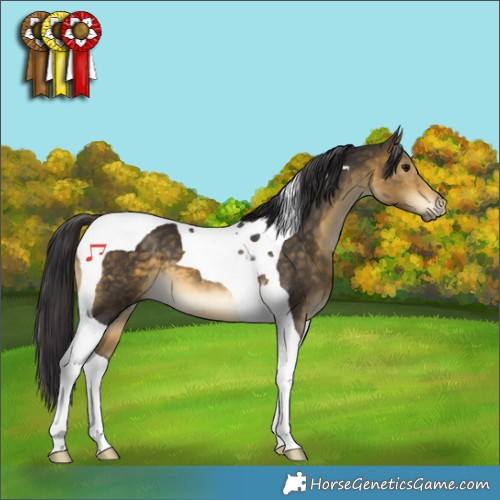 Horse Color:Buckskin Tobiano
