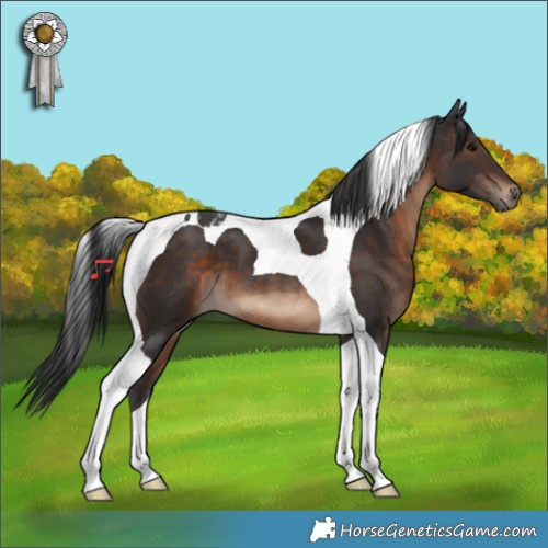 Horse Color:Brown Tobiano 