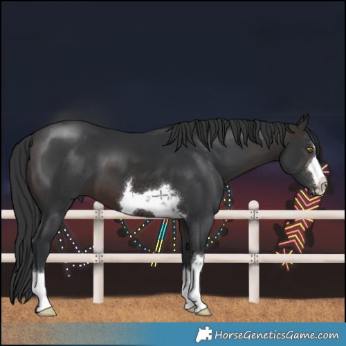 Horse Color:Brown 