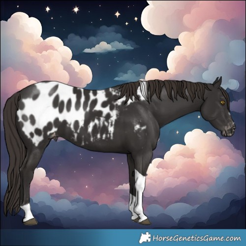 Horse Color:Liver Chestnut Tobiano Near Leopard 