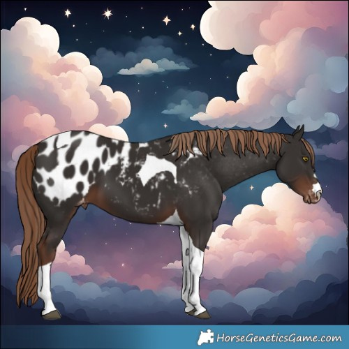 Horse Color:Liver Chestnut Tobiano Blanket 