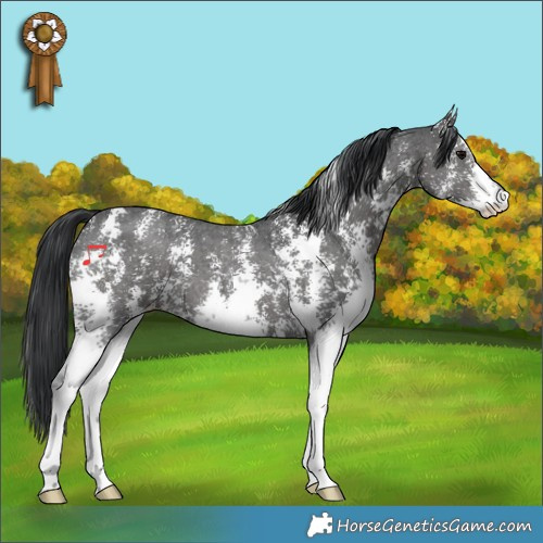 Horse Color:Black Sabino