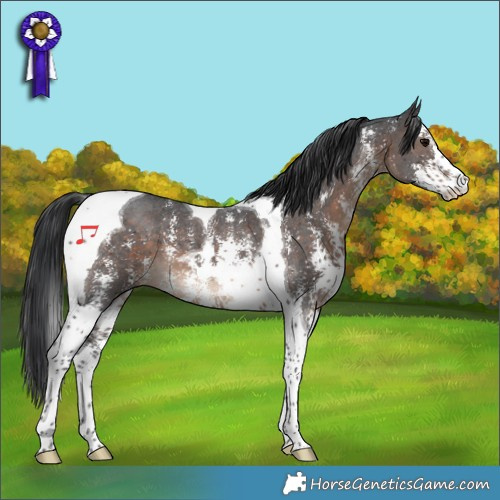 Horse Color:Brown Sabino Tobiano 