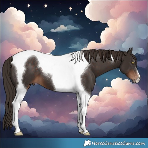 Horse Color:Liver Chestnut Tobiano 