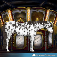 Horse Color:Liver Chestnut Sabino Leopard