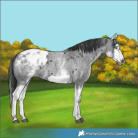 Horse Color:White Spotted Blue Roan Splash Frame Blanket 