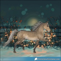 Horse Color:Silver Smoky Grullo