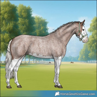 Horse Color:Silver Blue Roan Splash