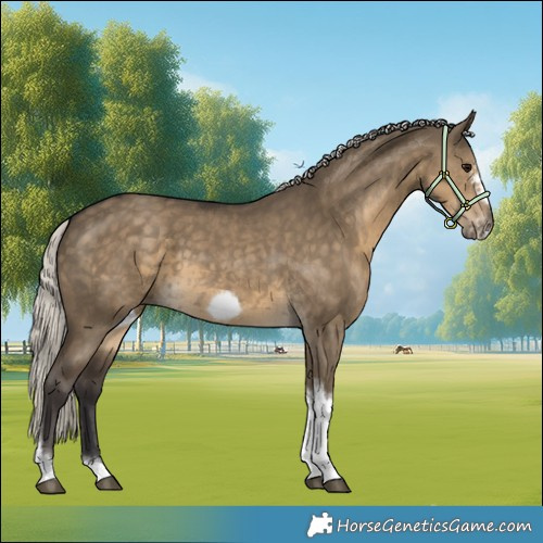 Horse Color:Silver Smoky Grullo Tobiano Frame 