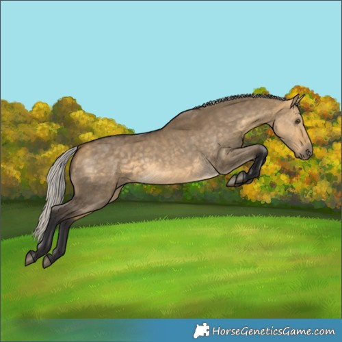 Horse Color:Silver Buckskin Dun 