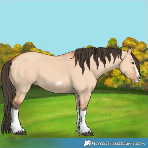 Horse Color:Bay Dun Splash Frame 