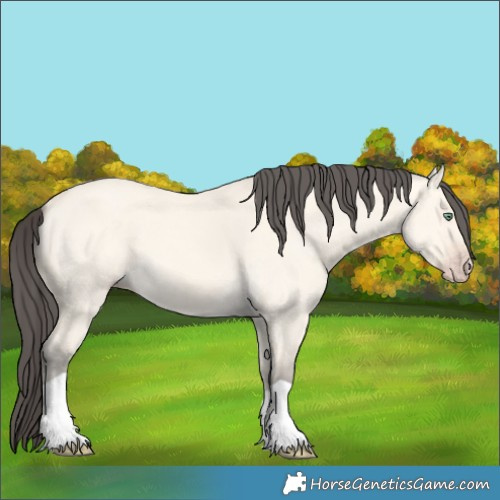 Horse Color:Amber Cream Champagne Dun 