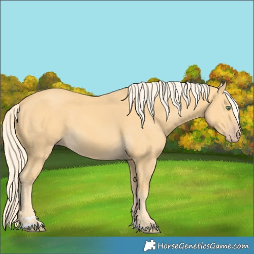 Horse Color:Gold Cream Champagne 