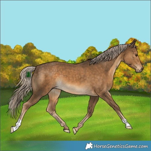 Horse Color:Chocolate Palomino