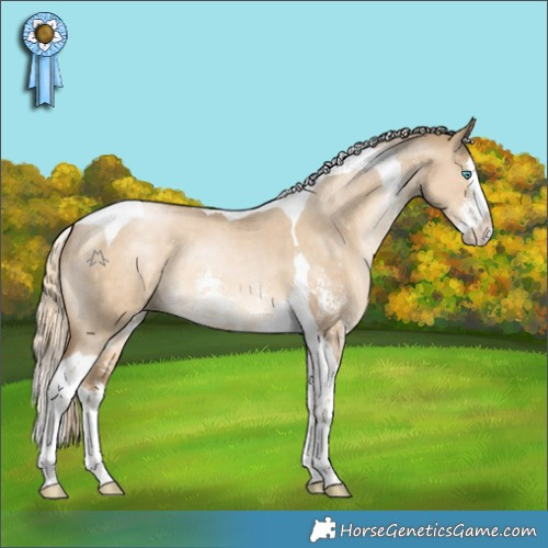 Horse Color:Chocolate Palomino Pearl Dun Sabino Splash Tobiano 