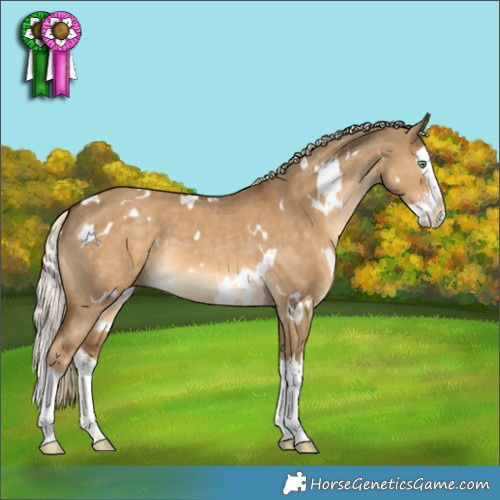 Horse Color:White Spotted Chocolate Palomino Dun Splash 
