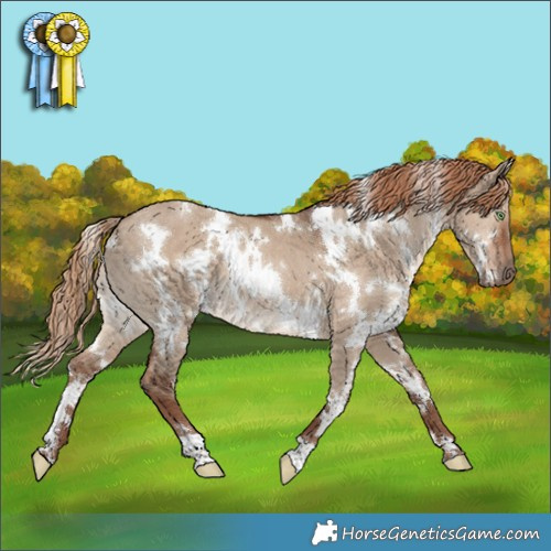 Horse Color:White Spotted Liver Red Dun 