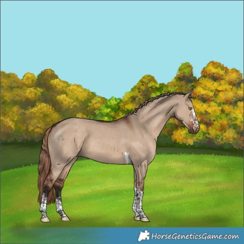 Horse Color:Liver Red Dun Sabino Tobiano 