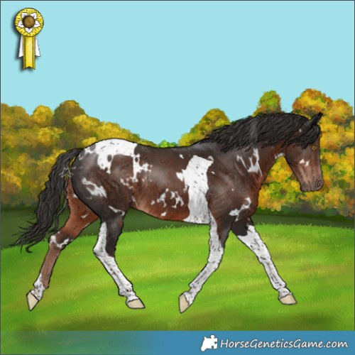 Horse Color:White Spotted Liver Chestnut Tobiano Rabicano