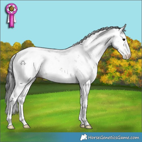 Horse Color:Grullo Sabino 