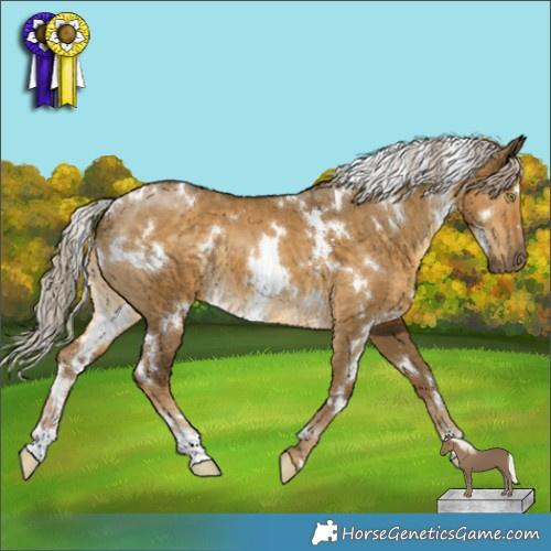 Horse Color:White Spotted Chocolate Palomino Dun Mushroom 