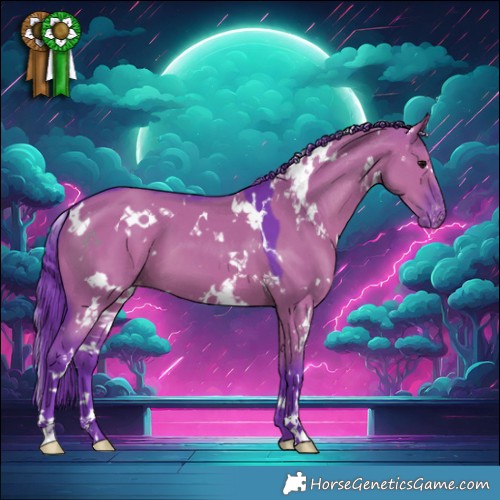 Horse Color:Watercolor White Spotted Grullo Appaloosa
