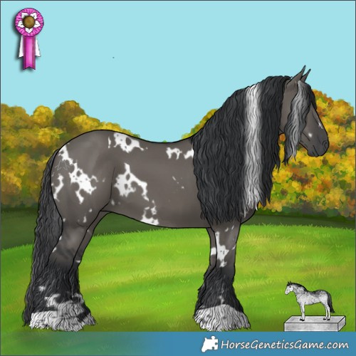 Horse Color:White Spotted Grullo 