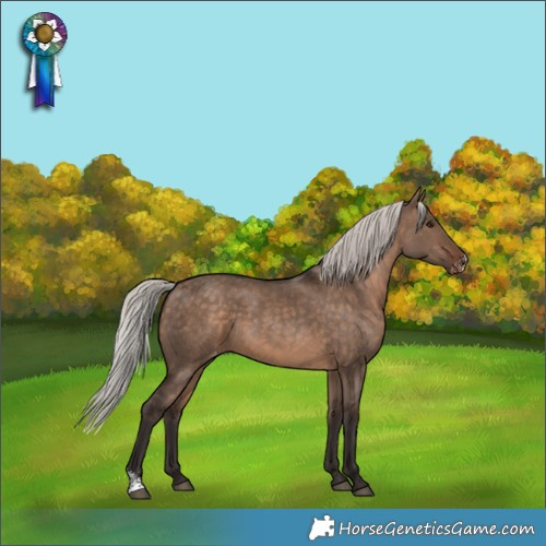 Horse Color:Silver Brown Dun Sabino Varnish