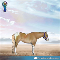 Horse Color:Chocolate Palomino Dun Sabino Tobiano 
