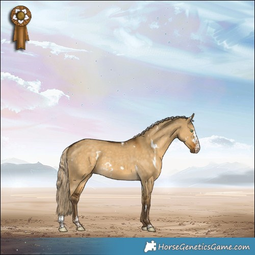 Horse Color:White Spotted Chocolate Palomino Dun Sabino
