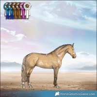 Horse Color:White Spotted Chocolate Palomino Dun Sabino