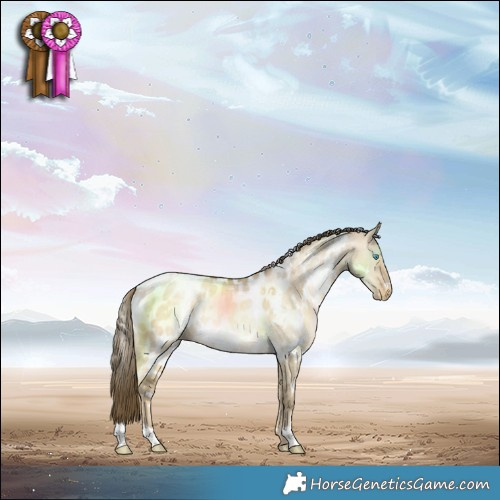 Horse Color:White Spotted Buckskin Pearl Dun Blanket 
