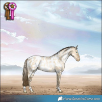 Horse Color:White Spotted Buckskin Pearl Dun Blanket