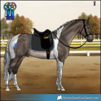 Horse Color:Brown Dun Tobiano Rabicano 