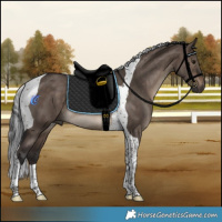 Horse Color:Brown Dun Tobiano Rabicano