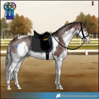 Horse Color:Brown Splash Tobiano