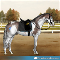 Horse Color:Brown Splash Tobiano