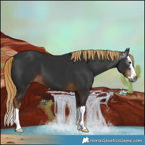 Horse Color:Gray Liver Chestnut Splash
