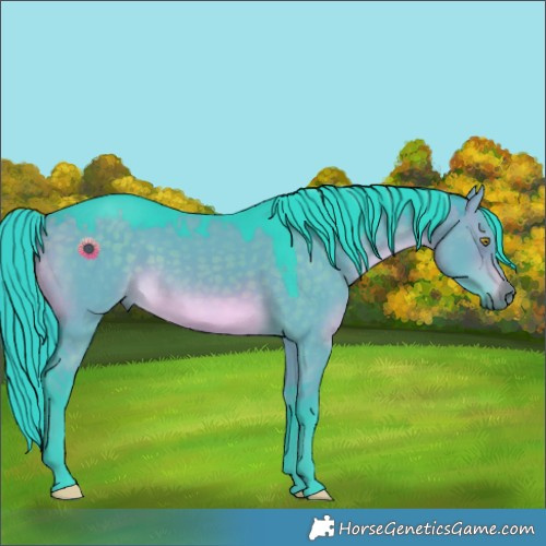 Horse Color:Watercolor Brown Dun Rabicano 