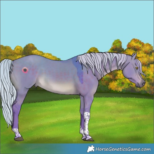 Horse Color:Watercolor Silver Brown Dun Tobiano