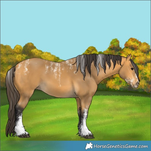 Horse Color:Powder White Buckskin 