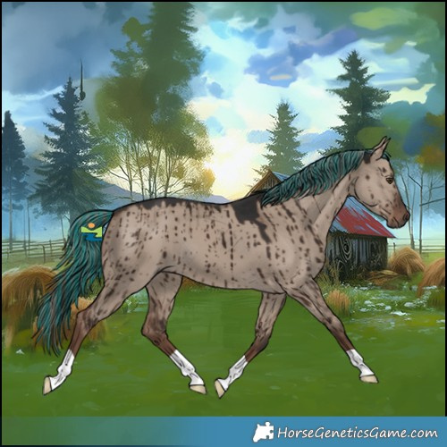 Horse Color:Painted Liver Red Dun Mushroom Brindle