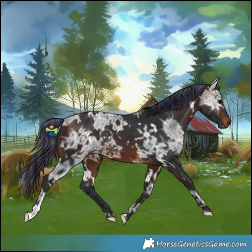 Horse Color:Painted White Spotted Brown Ice 