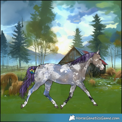 Horse Color:Painted White Spotted Brown Ice Dun Mushroom