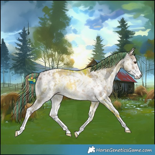 Horse Color:Painted Liver Red Dun Ice Sabino Appaloosa