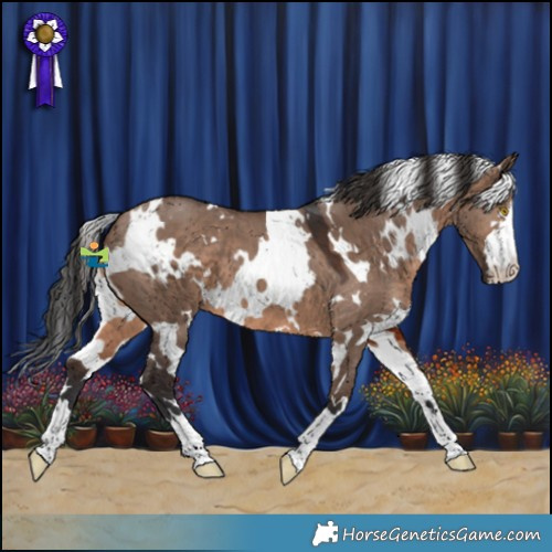 Horse Color:White Spotted Brown Dun Mushroom 